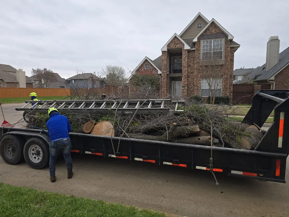 Expert Lot Clearing with proper safety equipment in Retsof